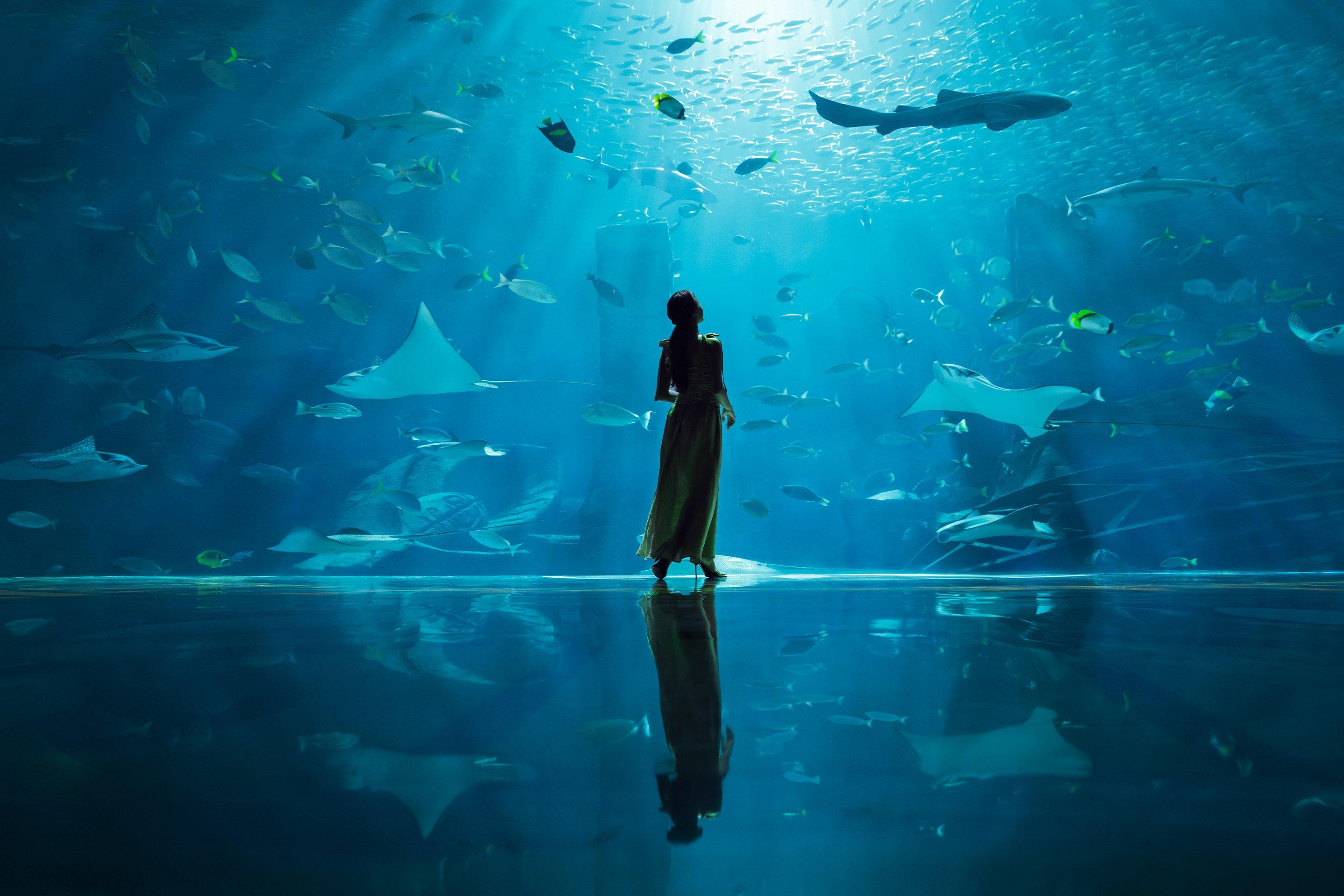Lady at Lost World Aquarium